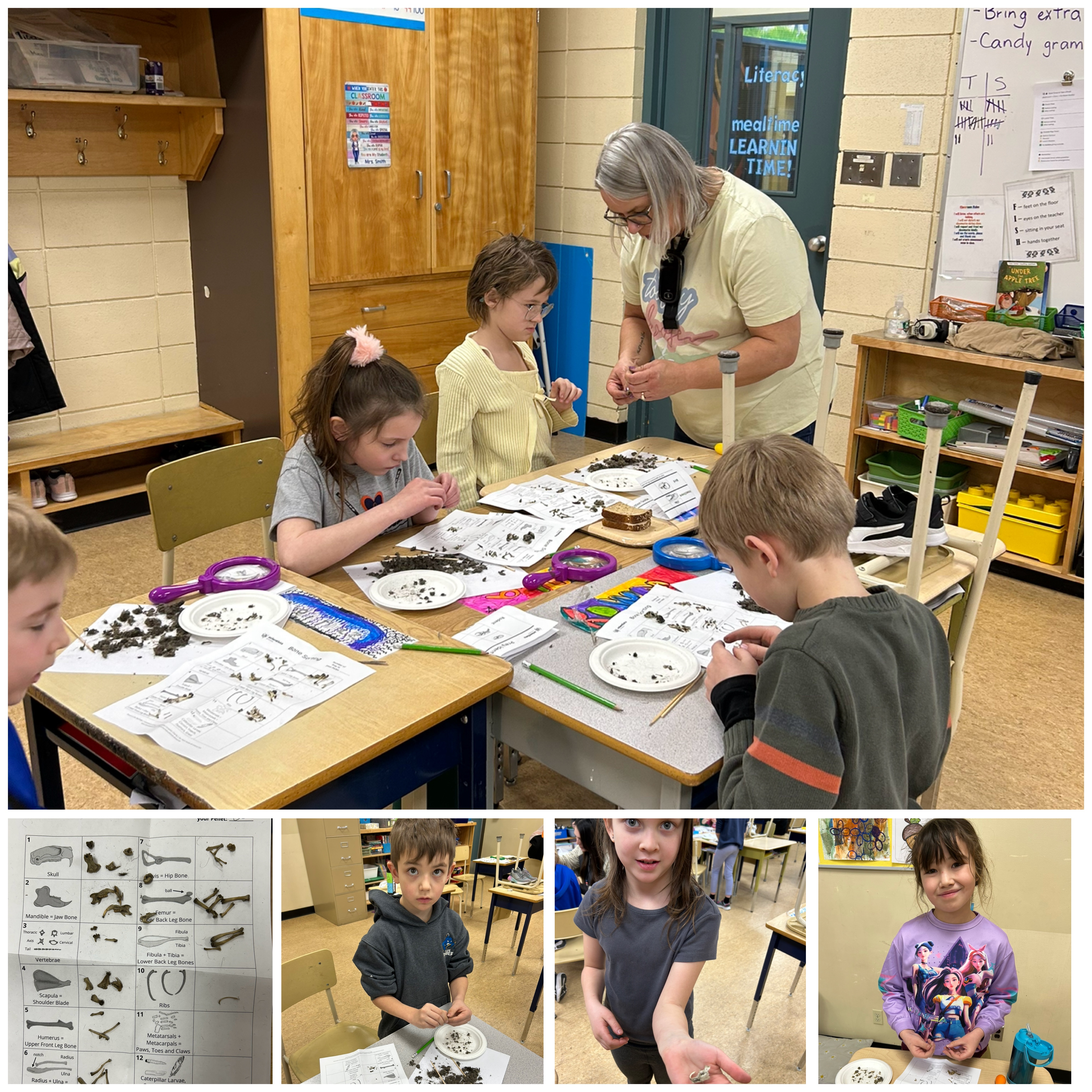 Hands On Science dwayne benvin