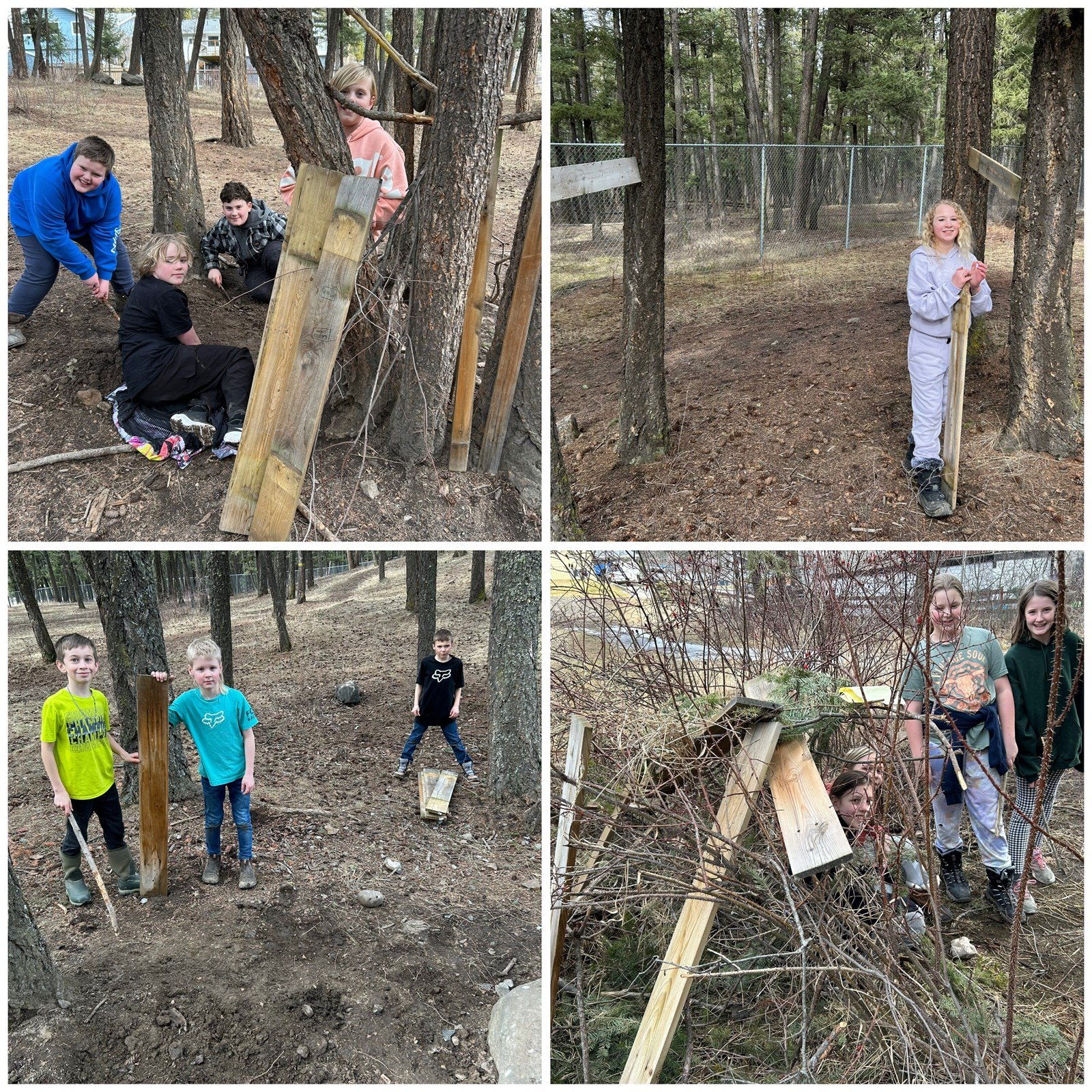 All it Takes is Some Extra Wood