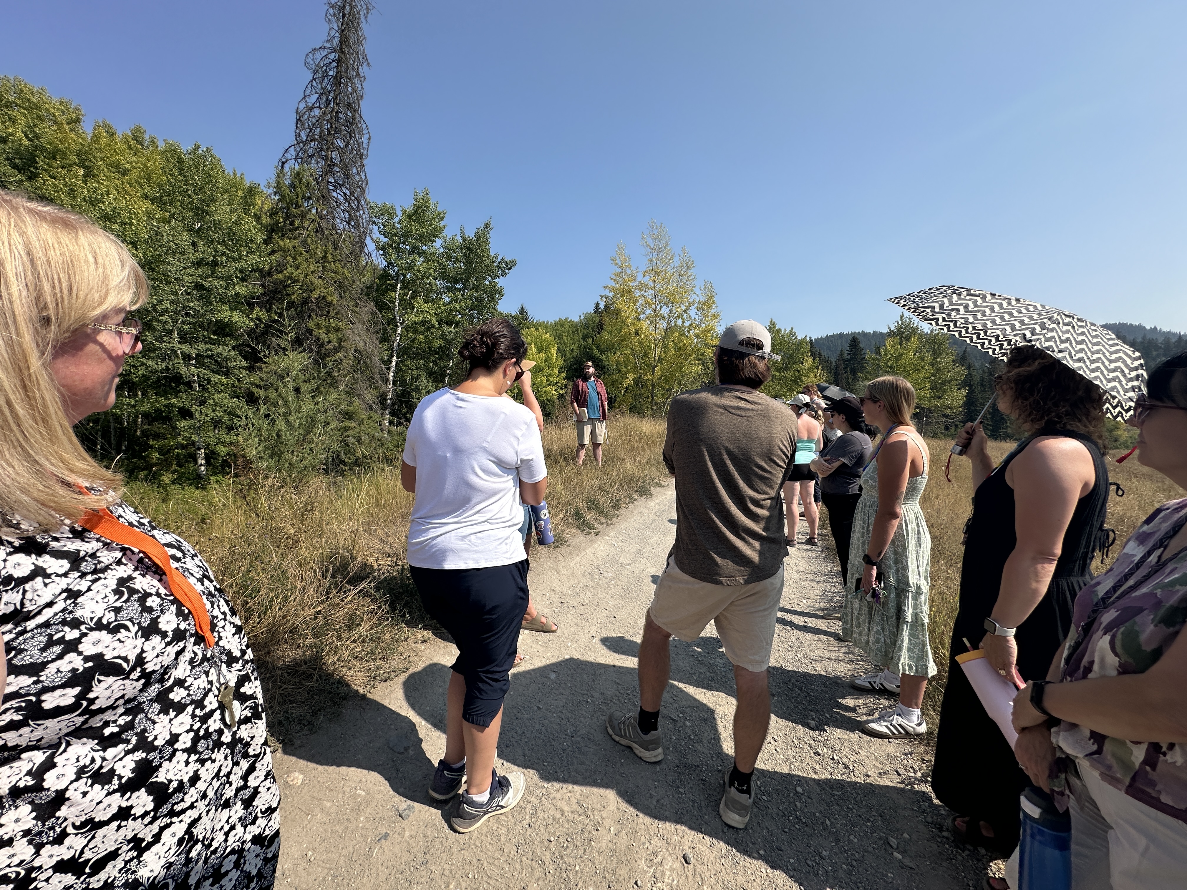 Staff Learning at the Dairy Fields1 tess riley